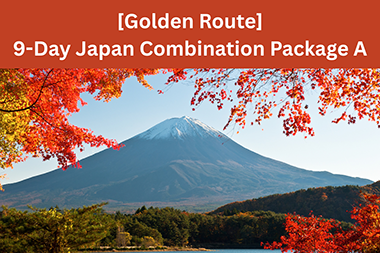 Japan's Golden Route 9 days : Tokyo/ Mt. Fuji / Hakone/ Nara